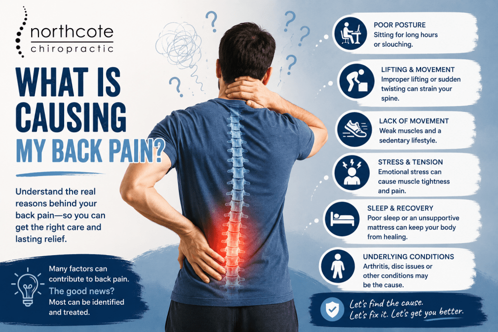 - Northcote Chiropractor Causes of back pain